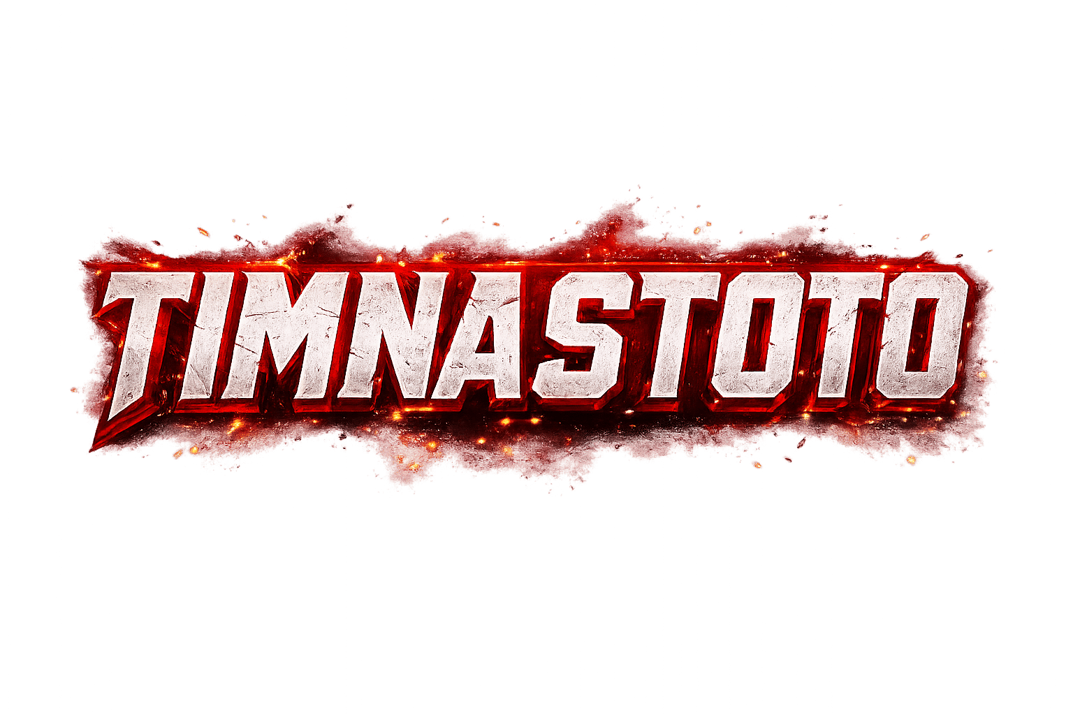 TIMNASTOTO logo