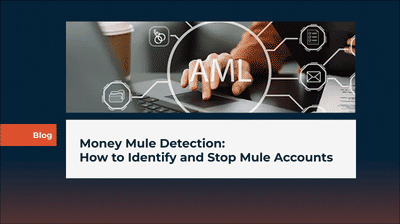Money Mule Detection: How to Identify and Stop Mule Accounts