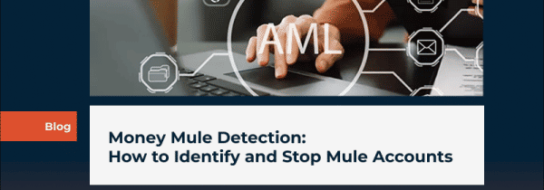 Money Mule Detection: How to Identify and Stop Mule Accounts