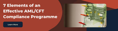 7 Elements of an Effective AML/CFT Compliance Programme