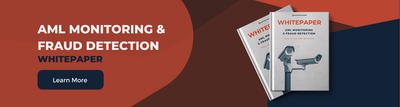 detalied analysis of transaction monitoring and best monitoring software