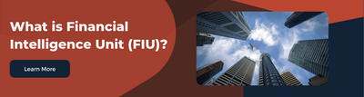 an authority to receive, evaluate, and share financial information related to financial crime became apparent