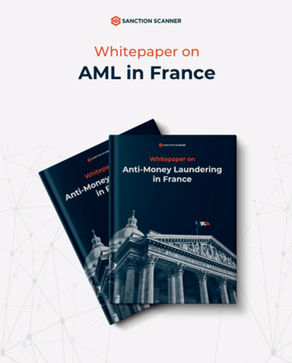 AML-in-France