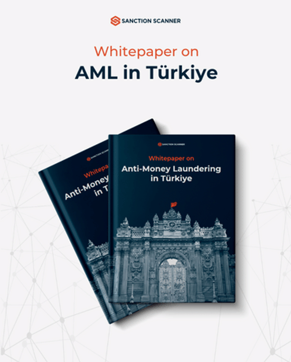 AML-in-T�rkiye