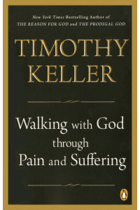 Walking with God through Pain and Suffering