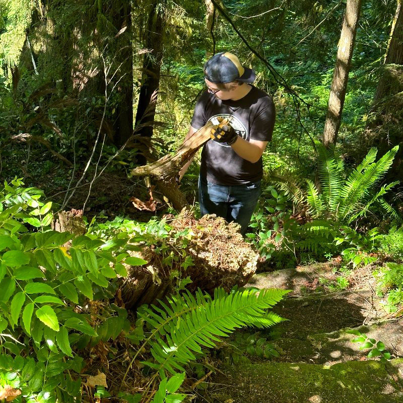 Youth Group Volunteers - Clearing brambly hidden paths down to the river