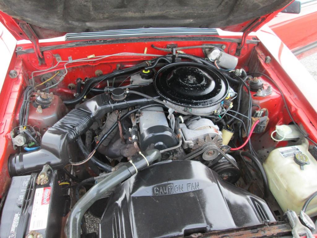 1984 Ford Mustang L Notchback