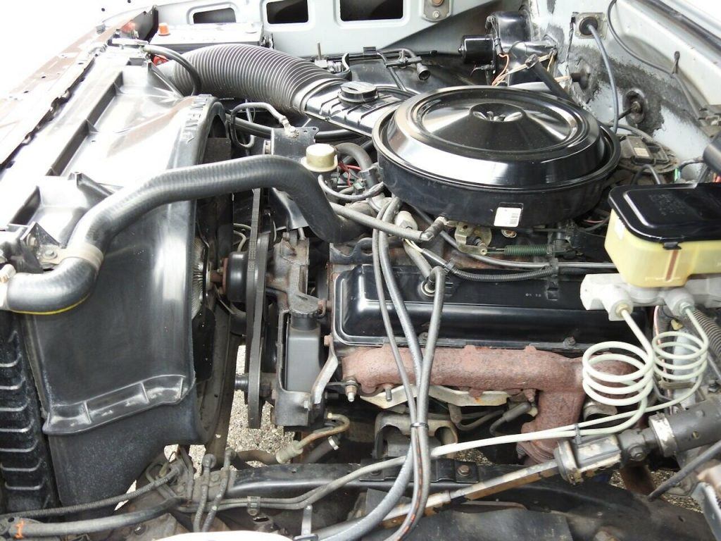 1983 Chevrolet C 10 Custom Deluxe