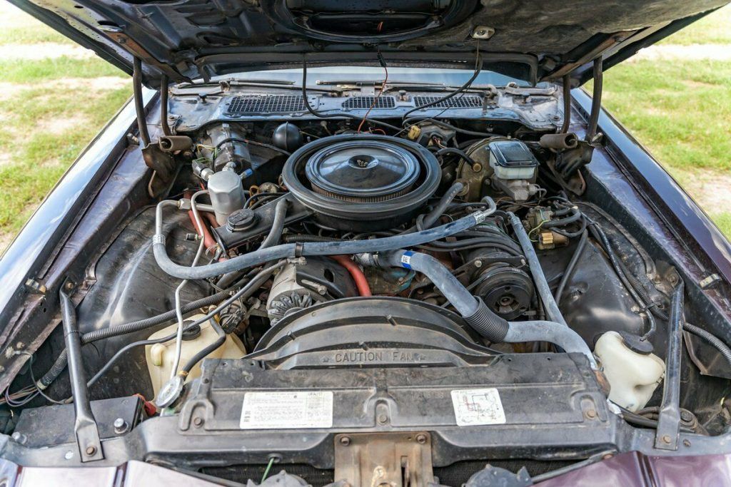 1981 Chevrolet Camaro