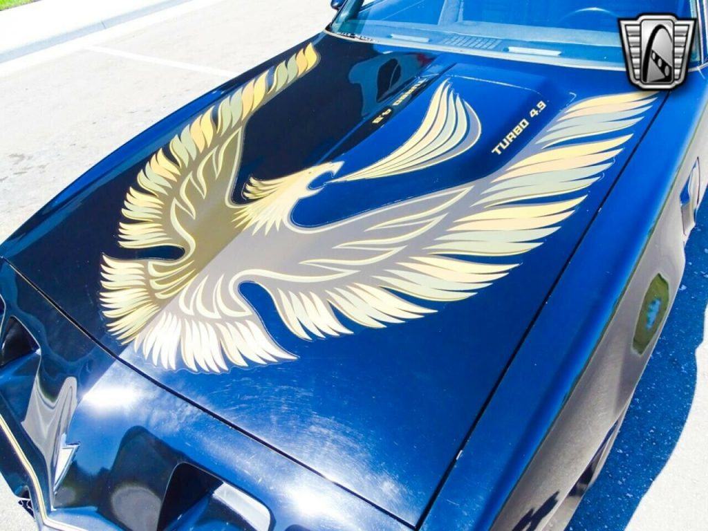 1980 Pontiac Firebird Trans Am