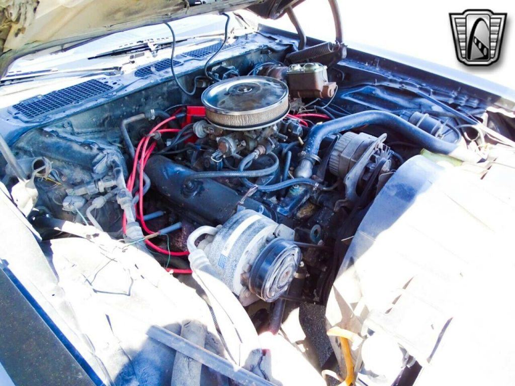 1980 Pontiac Firebird Trans Am