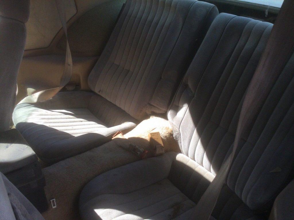 1984 Pontiac Firebird Trans Am