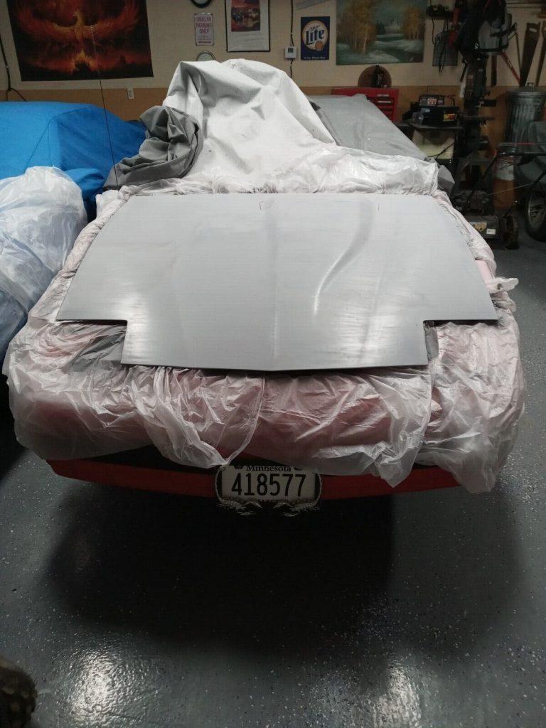 1989 Pontiac Firebird formula