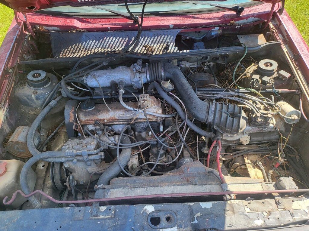 1982 Volkswagen Rabbit Deluxe