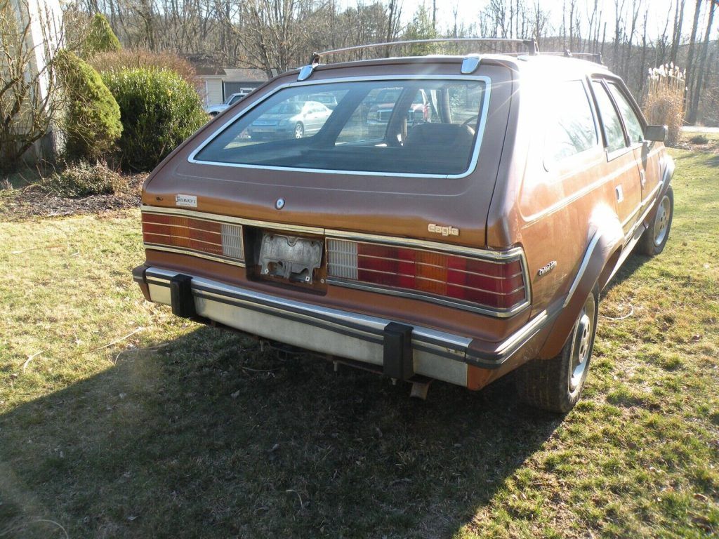 1985 AMC