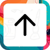 Scroll to Top