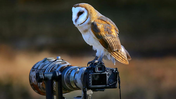photography classes