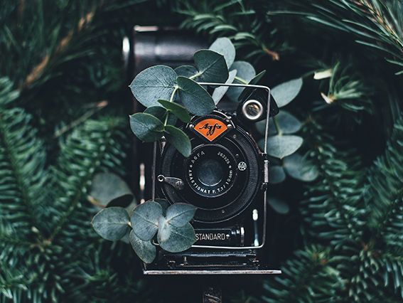 Photography Courses Hamstech