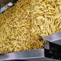 An image of fries in a processing machine