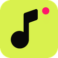 Musiclly