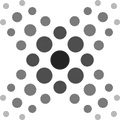 ASCN.AI