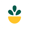 Grow Therapy