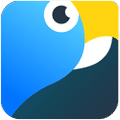 Macaw