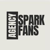 Professional SparkFans