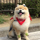 Dexter Chow