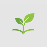 Sprout Lessons 
