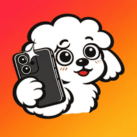 Photo Poodle