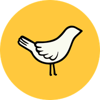 150birds