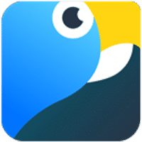 Macaw