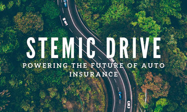 Stemic Drive screenshot