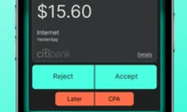 FlyFin screenshot