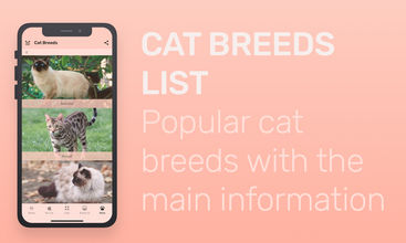 Meowly - Cats & Kittens screenshot