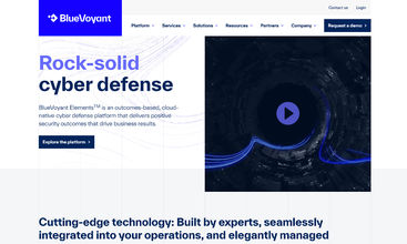 BlueVoyant screenshot