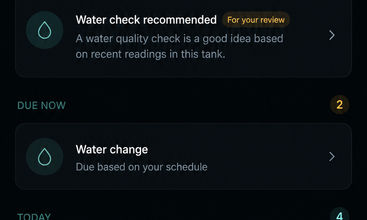 Shrimp Tank screenshot