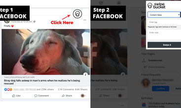 Swipebucket screenshot