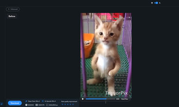 TensorPix screenshot