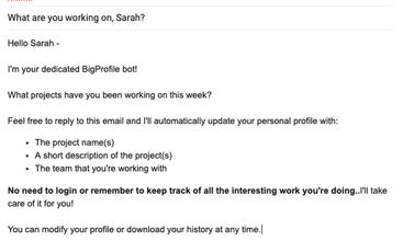 BigProfile screenshot