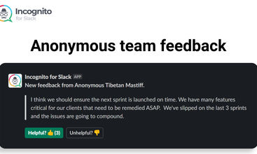 Incognito for Slack screenshot