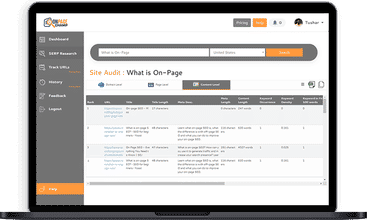 OnPage Champ screenshot