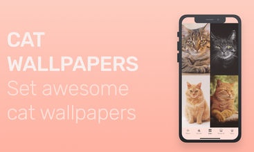 Meowly - Cats & Kittens screenshot