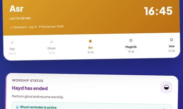 Ayol screenshot