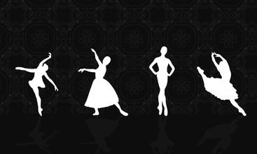 silhoutteAC screenshot