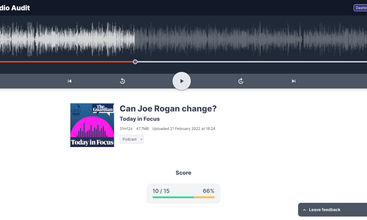 Audio Audit screenshot