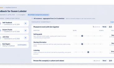 Lynxify.me - Performance review software screenshot