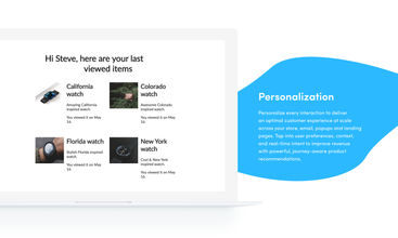 CustomerVox screenshot