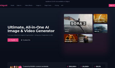 Vidgo AI screenshot